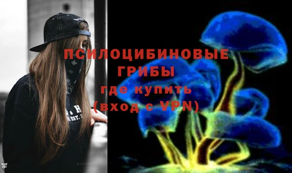 ECSTASY Абаза