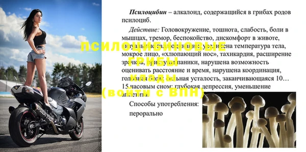 ECSTASY Абаза